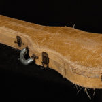 Vintage 1954 Gretsch G6128 Duo Jet