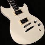 Robin Finck Signature