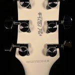 Robin Finck Signature