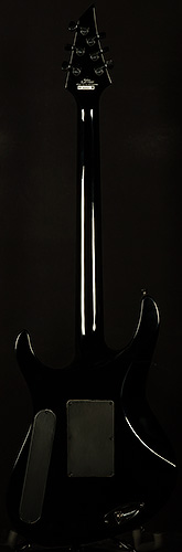 Pro Series Signature Chris Broderick Soloist 6