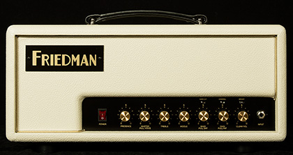 Custom Wildwood 20 - Two-Channel Head - Ivory Bronco