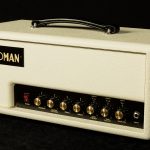 Custom Wildwood 20 - Two-Channel Head - Ivory Bronco