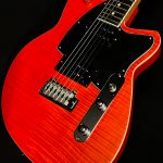 Reeves Gabrels Signature