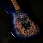 Pro Series Chris Broderick Soloist 6P