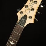 2022 Model CE 24 Semi-Hollow