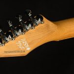 Greg Koch Signature Gristlemaster