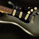 American Professional II Stratocaster