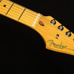 American Professional II Stratocaster
