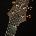 2003 PRS Custom 24 Brazilian Limited - #47/500