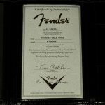 Wildwood 10 1955 Telecaster - Heavy Relic