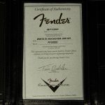 Wildwood 10 1951 Nocaster - Journeyman Relic