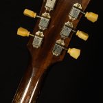 Wildwood Spec 1959 ES-335 - Ultra Heavy Aged