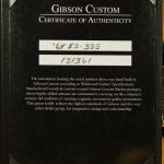 Wildwood Spec 1964 ES-335 - VOS