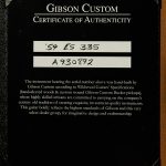 Wildwood Spec 1959 ES-335 Reissue - Gloss