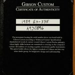 Wildwood Spec 1959 ES-335 Reissue - Gloss