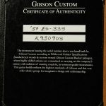 Wildwood Spec 1959 ES-335 Reissue - Gloss