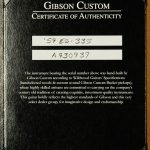 Wildwood Spec 1959 ES-335 Reissue - Gloss