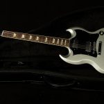 Custom Color Series SG Standard