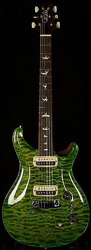 Wildwood Wood Library Paul's Guitar - Brazilian Rosewood