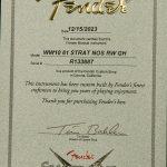 Wildwood 10 1961 Stratocaster – NOS