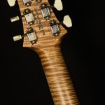 Wildwood Wood Library McCarty SC 594 - 10 Top, Brazilian Rosewood
