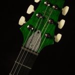 Wildwood Wood Library S2 Custom 24-08