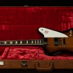 Original Collection Firebird Platypus