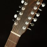 D-X2E 12-String