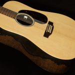 D-X2E 12-String