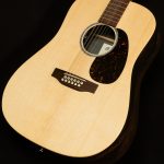 D-X2E 12-String