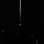 Firebird Custom - Gloss