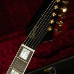 Firebird Custom - Gloss
