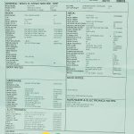 Wildwood 10 1961 Stratocaster - NOS