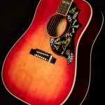 Hummingbird Standard