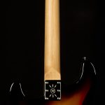 Greg Koch Signature Gristle ST