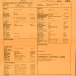 Wildwood 10 1961 Stratocaster - NOS