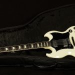 Custom Color Series SG Standard