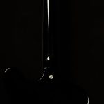 Original Collection Firebird Platypus