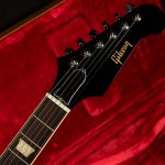 Original Collection Firebird Platypus