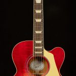 Les Paul Parlor Acoustic