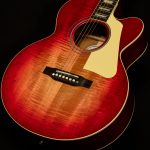 Les Paul Parlor Acoustic