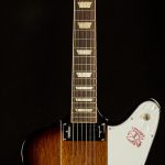 Original Collection Firebird Platypus