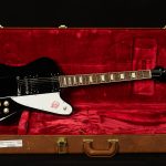 Original Collection Firebird Platypus