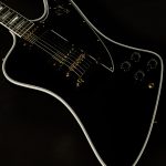 Firebird Custom - Gloss