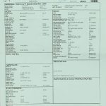 Wildwood 10 1962 Precision Bass - NOS