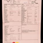 Wildwood 10 1951 Nocaster - NOS