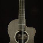2015 RainSong NP12 - 12-Fret