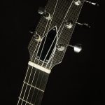 2015 RainSong NP12 - 12-Fret