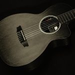 2015 RainSong NP12 - 12-Fret