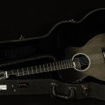 2015 RainSong NP12 - 12-Fret